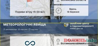 Штормовий вітер та ожеледиця у Луцьку та на Волині: оголошено перший рівень небезпеки