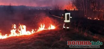Понад 5 гектарів у вогні: на Волині за добу згоріли ділянки сухостою