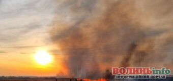 Масштабні займання сухостою на Волині: наслідки безвідповідальності