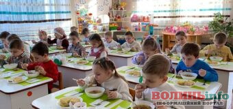 Якість харчування в дитсадках Любешівщини: що зміниться?