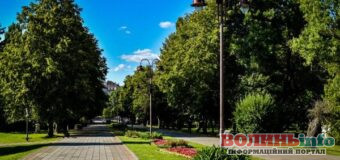 У луцькому Центральному парку оновлять доріжки та сходи: на ремонт витратять понад 260 тисяч гривень