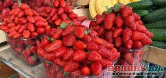 Ціни кусаються: скільки коштує полуниця, абрикоси та цитрусові на луцьких ринках