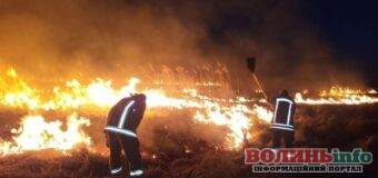 На Волині горіли 3 гектари сухої трави та очерету: пожежу ліквідували пізно ввечері