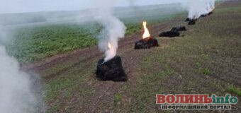 Дим над полями: волинські аграрії палять вогнища, щоб урятувати врожай від травневих морозів