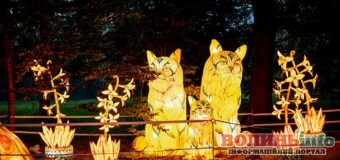 Соціальний день у парку ліхтарів в Луцьку: хто може пройти безкоштовно