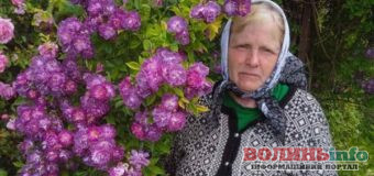 Волинянка створила квітковий рай у власному дворі: історія любові та натхнення