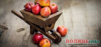 Яблука стають делікатесом: у Європі ціни злетіли до рівня преміум-фруктів