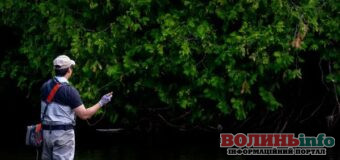 Риболовля на Світязі у 2025 році: що дозволено та які правила діють