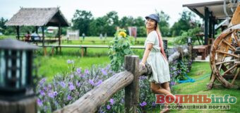 Що робити на вихідних на Волині: найцікавіші ідеї на 16–17 серпня 2025 року