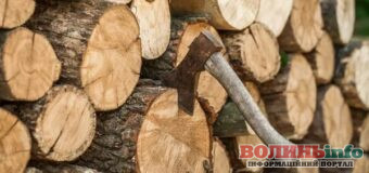 Ціни на дрова у Луцьку та Ковелі: які породи найдорожчі