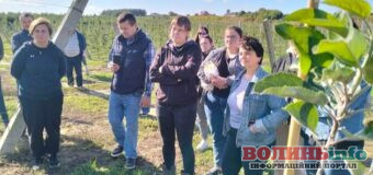 Як на Волині ветеранів та переселенців навчають агробізнесу і роботі з технікою