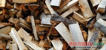 На Волині чоловік втратив авто через незаконну порубку лісу