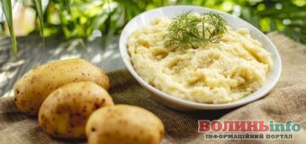 На Волині планують збудувати завод із виробництва сухого картопляного пюре