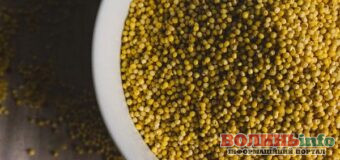 Чому пшоно краще спочатку обсмажувати, а вже потім варити