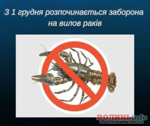 На водоймах Волині ввели заборону на вилов річкових раків