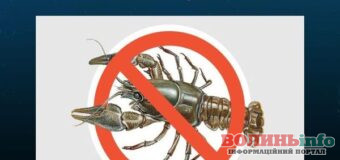 На водоймах Волині ввели заборону на вилов річкових раків