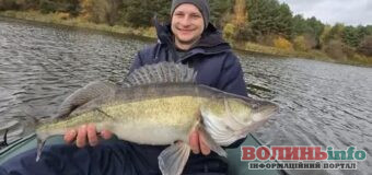 На Волині рибалка упіймав рідкісного хижака