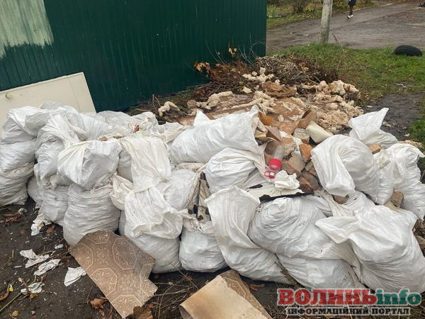 У Нововолинську невідомі створюють стихійне звалище будівельних відходів