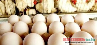 Скільки коштують яйця та волоські горіхи на ринках Луцька