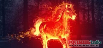 Як правильно зустріти 2026 рік: поради року Червоного Вогняного Коня