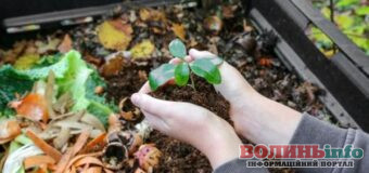 У Луцькій громаді проведуть тренінги з компостування відходів у приватних садибах