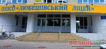 Освітня реформа на Волині: у громаді залишиться лише один академічний ліцей