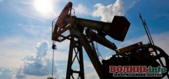 Nestlé отримала спецдозвіл на користування надрами у Волинській області