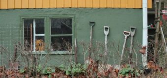 Посівний календар на лютий 2026 року: коли працювати в саду та на городі