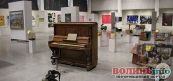 «Інший поруч»: як у Музеї Корсаків через мистецтво говорять про тварин і відповідальність людини