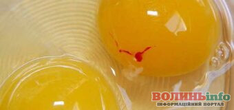 Червона цятка на жовтку: що це означає і чи безпечно їсти таке яйце