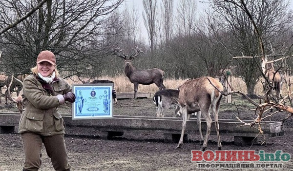 Хто і навіщо застрелив найбільшого оленя України в екопарку «На рогах»?