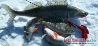 Волинян запрошують на Шацькі озера на благодійний турнір з лову риби на мормишку