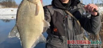 Лучанин витягнув із річки гігантського ляща