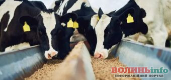 У Локачинській громаді збудують масштабний комплекс з виробництва кормових добавок