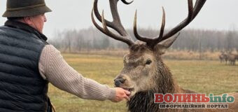 Хто і навіщо застрелив найбільшого оленя України в екопарку «На рогах»?