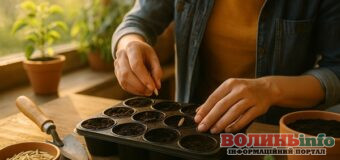 Посівний календар на березень 2026: коли сіяти томати, перець та садити картоплю