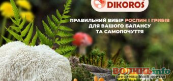 Як визначити, які саме дикорослі рослини та гриби потрібні вашому організму?