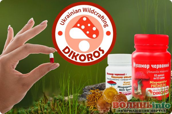 Як визначити, які саме дикорослі рослини та гриби потрібні вашому організму?