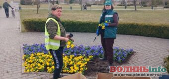 У Ковелі розпочали весняне озеленення парку Шевченка