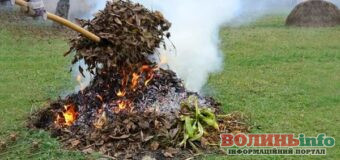 Не спалювати: куди у Луцьку подіти гілля та листя