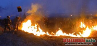 Пожежі на Волині: вигоріли гектари трави, загинув чоловік і оштрафували палійку