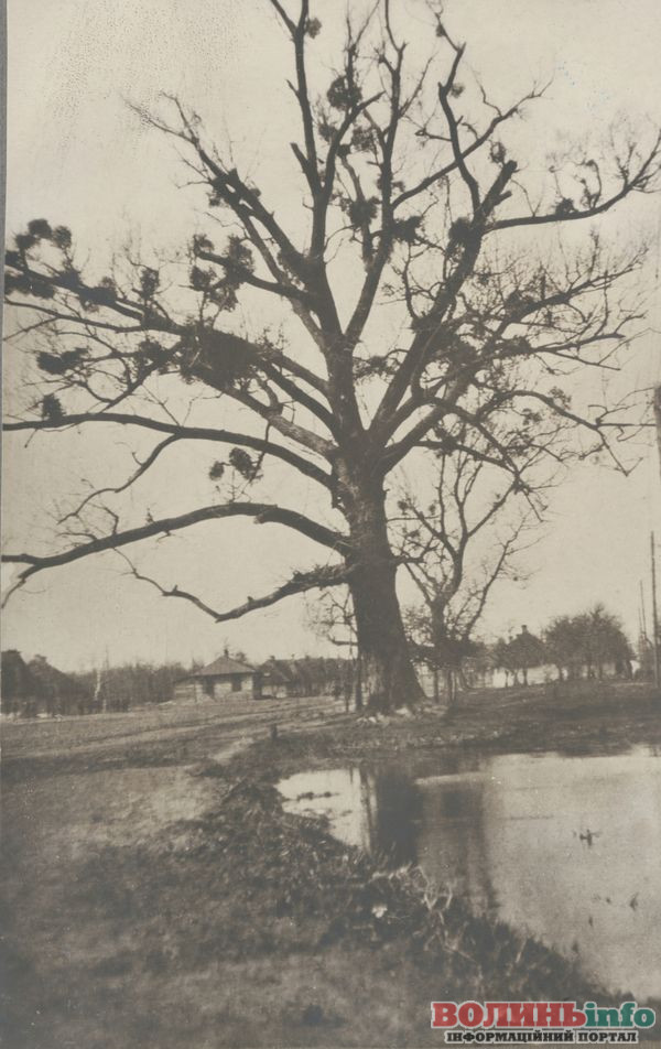 Архівні світлини 1918 року: як виглядало волинське село Голоби понад століття тому