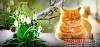 Березень на Волині став найтеплішим за майже 80 років