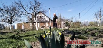 У Луцькій громаді стартував дачний сезон: городи вже готують і висаджують перші овочі