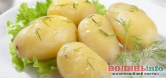 Який овоч називають «їжею для мозку» і чому він важливий у раціоні