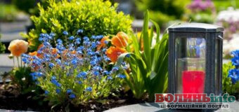 Які квіти посадити на цвинтарі: невибагливі варіанти для охайного вигляду