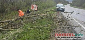 Негода на Волині: сотні сіл без електрики та повалені дерева на дорогах