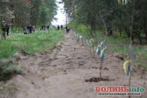 У Луцькій громаді висадили 130 дубів пам’яті на честь загиблих захисників