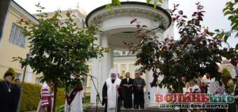 У Луцьку вшанували пам’ять дітей, які загинули через війну