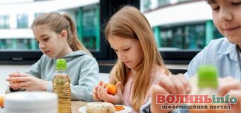 У Луцькому районі готуються до безкоштовного харчування всіх школярів із 1 вересня